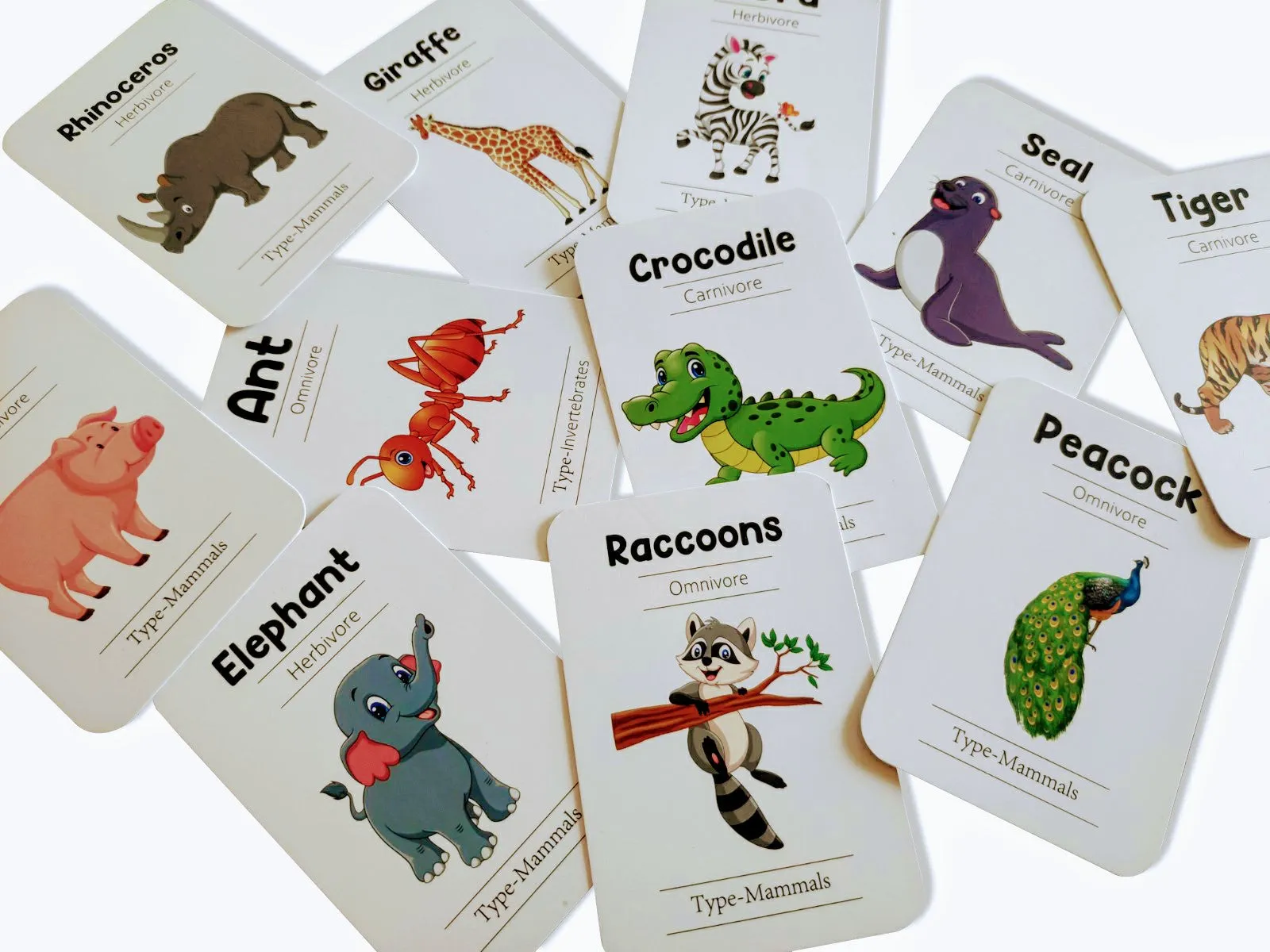 Animals Flash Cards - Pack of 24