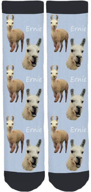 Blackberry Creek Farm Animal Sanctuary "Ernie" Socks