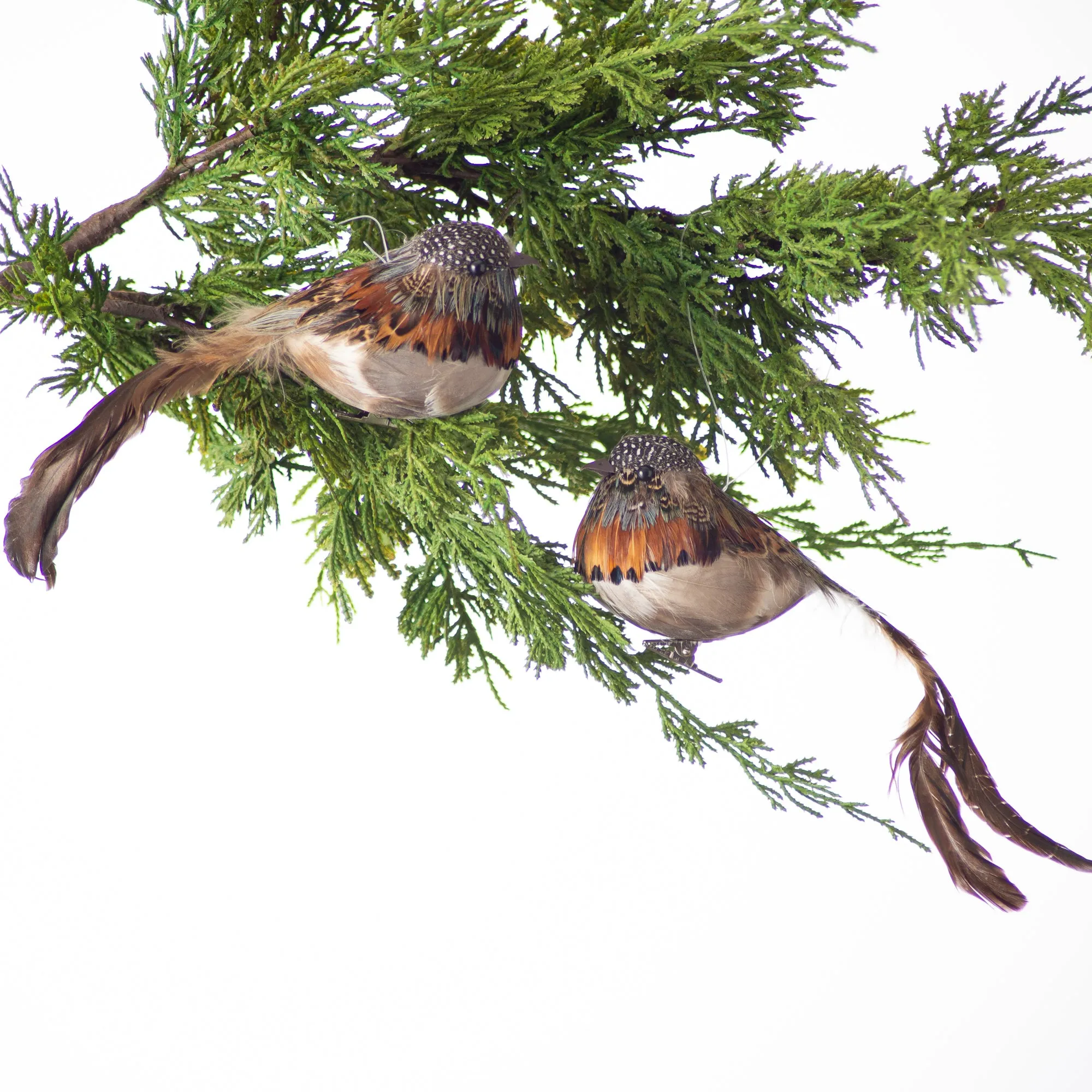 Brown Mixed Speckled Feather Clip-On Bird Christmas Ornament Set