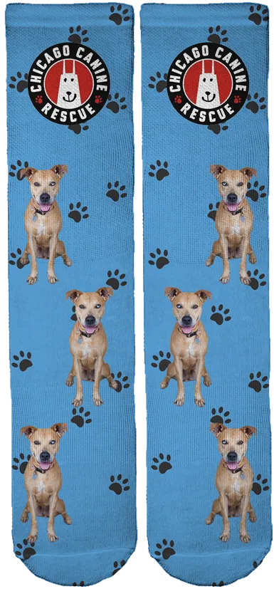 Chicago Canine Rescue Foundation Crew Socks