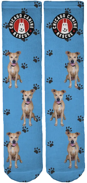 Chicago Canine Rescue Foundation Crew Socks