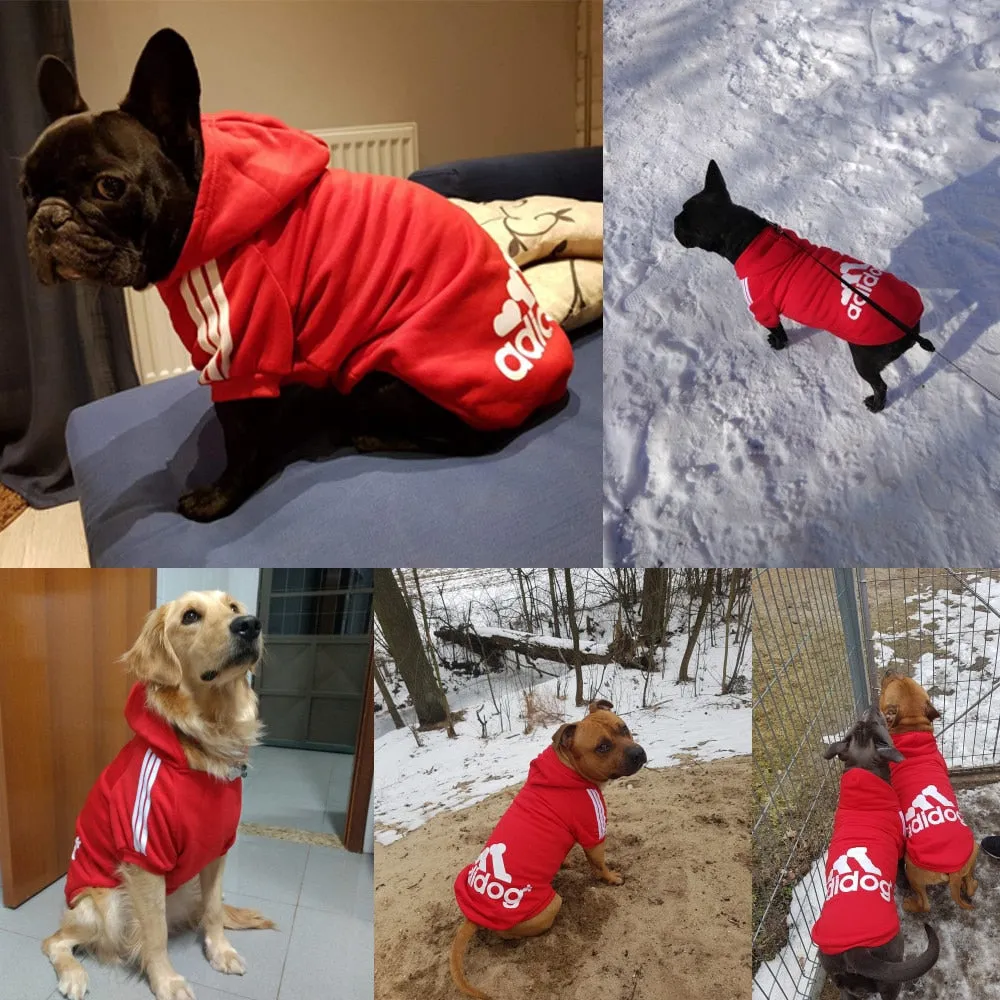 Fast Shipping Cool Red Dog Hoodie