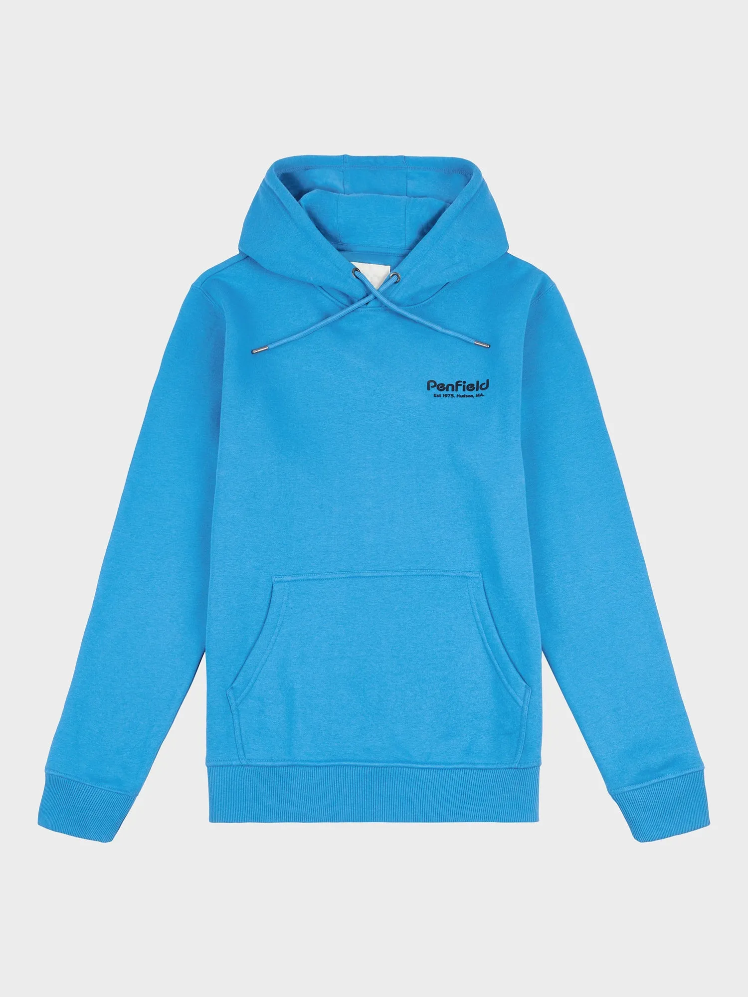 Hudson Script Hoodie in Vallarta Blue