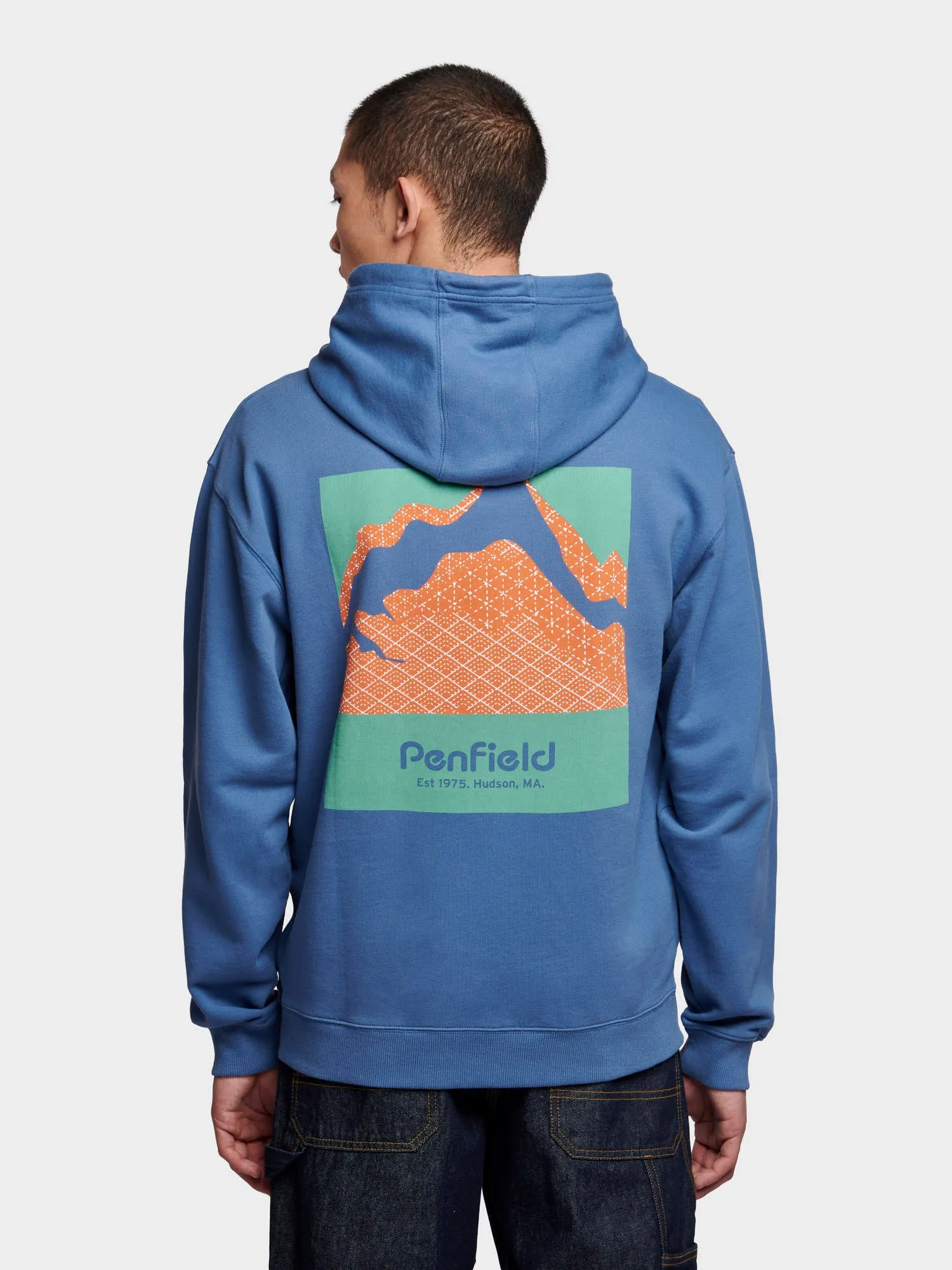 Relaxed Fit Mountain Back Print Hoodie in Blue Horizon